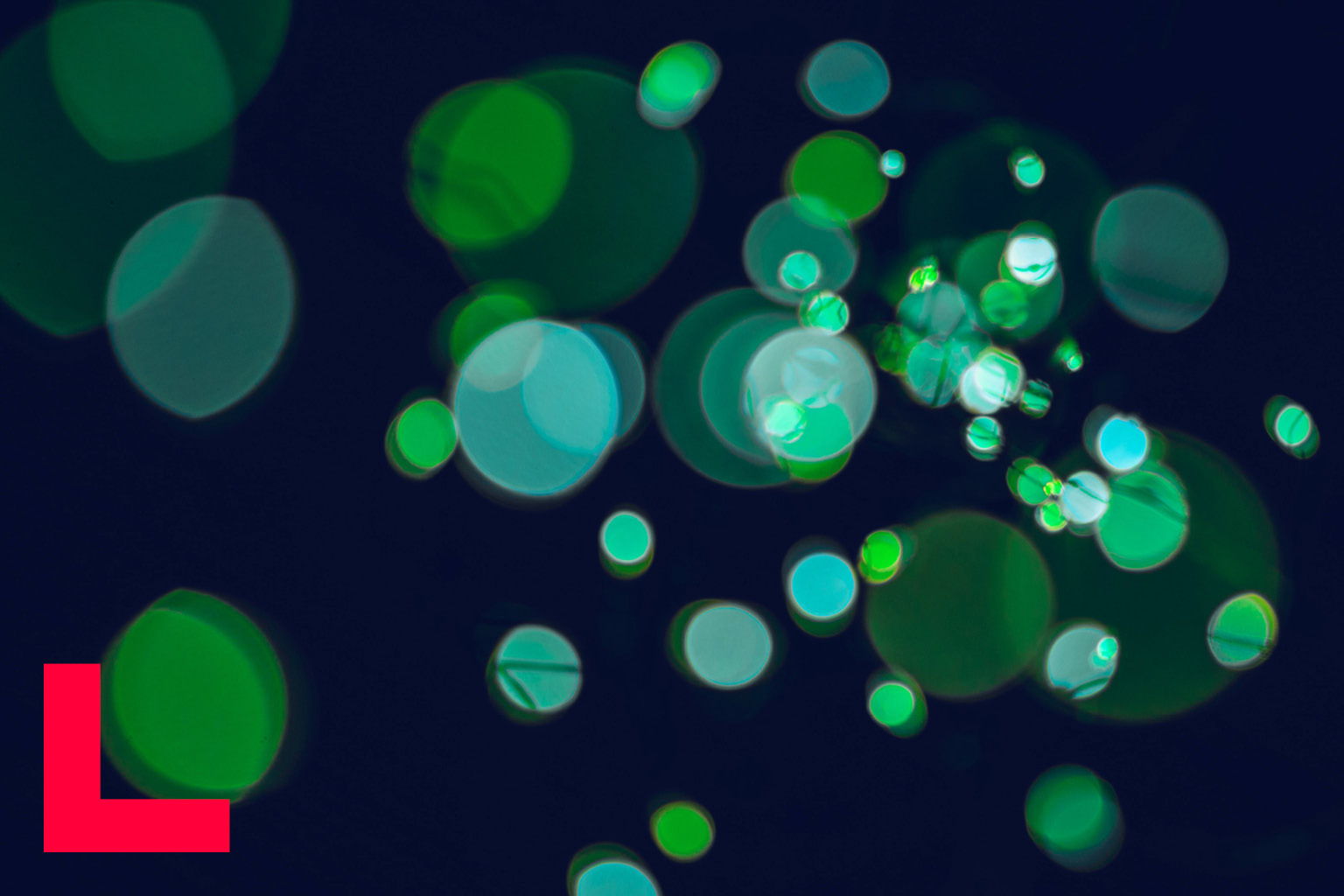 [PROGRAM BLOCK] Developing a Winning Ecosystem - Podim